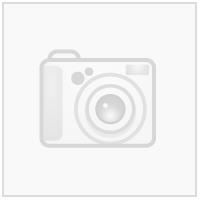 Start Supporter Hjemmedrakt 2025 Jubilumshjemmedrakt sesongen 2025